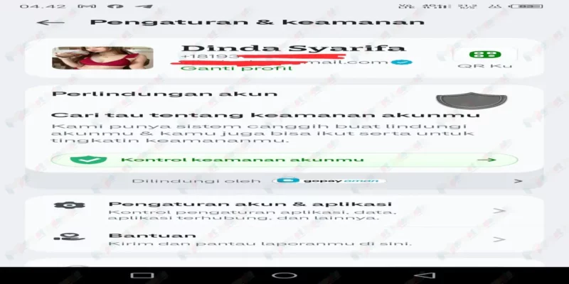 Jual Jasa Pembuatan Akun Gopay Dengan Nomor Kanada Dan USA +1 With New Email